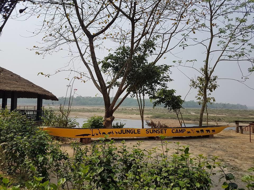 Hotel Jungle Sunset Camp Sauraha Exterior foto