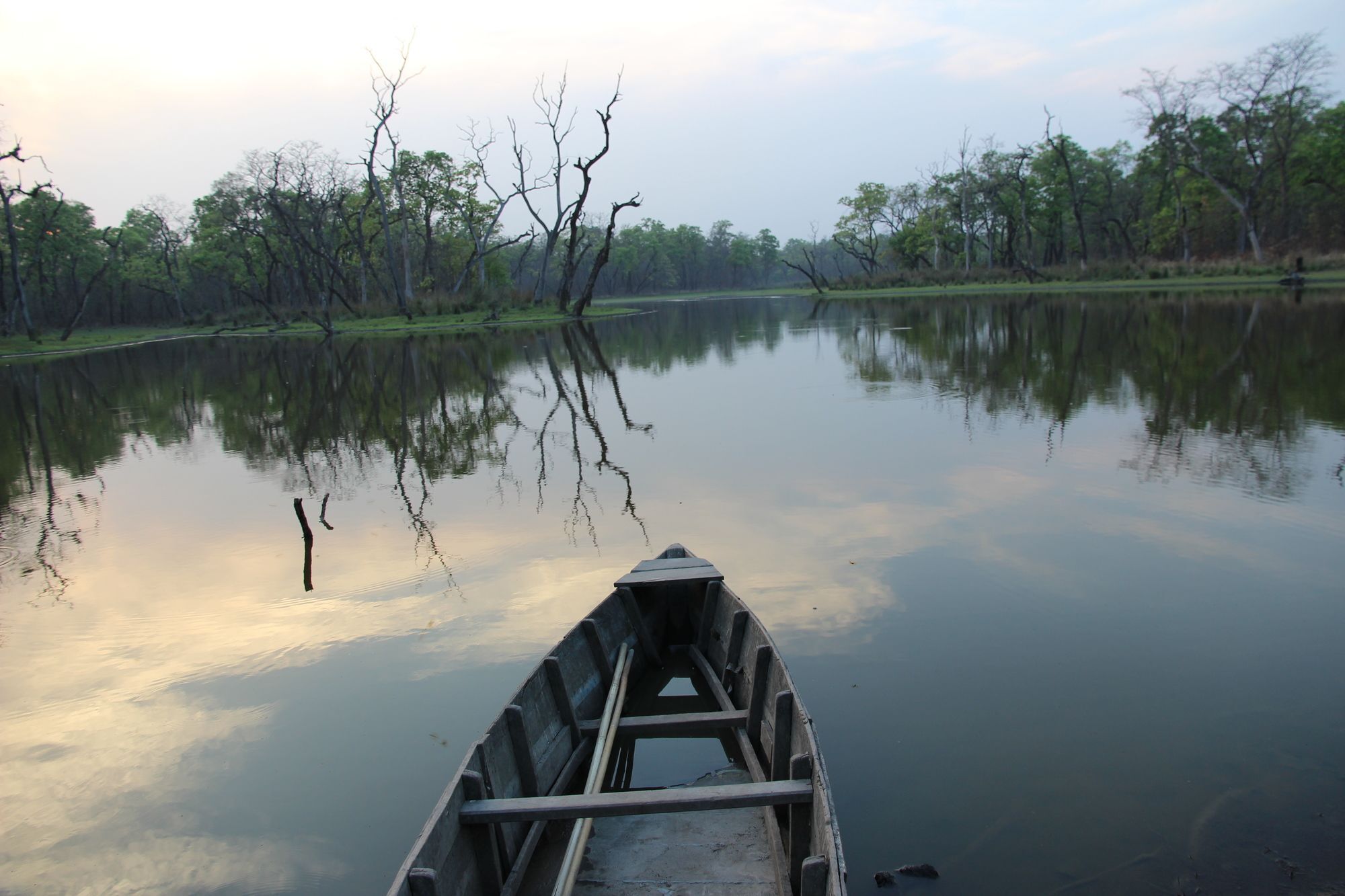 Hotel Jungle Sunset Camp Sauraha Exterior foto