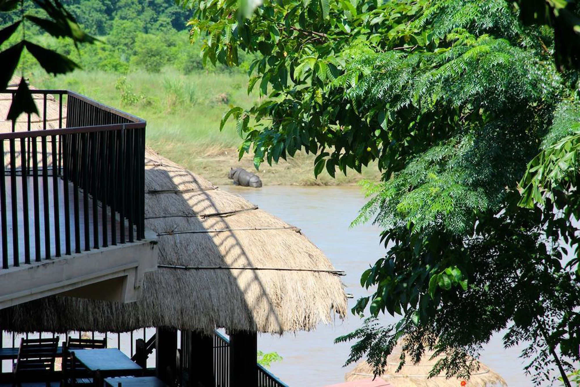 Hotel Jungle Sunset Camp Sauraha Exterior foto