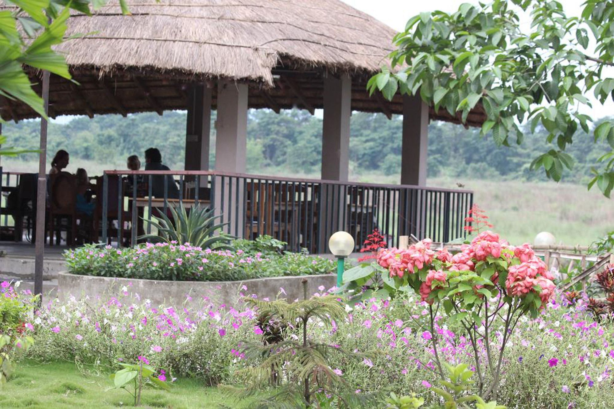 Hotel Jungle Sunset Camp Sauraha Exterior foto